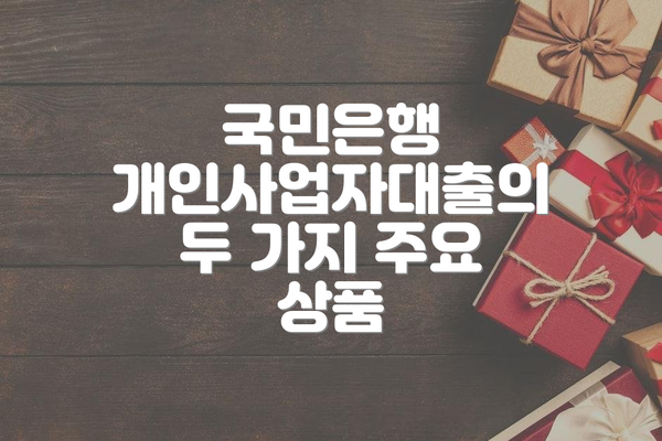 국민은행 개인사업자대출의 두 가지 주요 상품