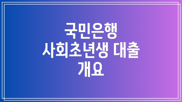 국민은행 사회초년생 대출 개요