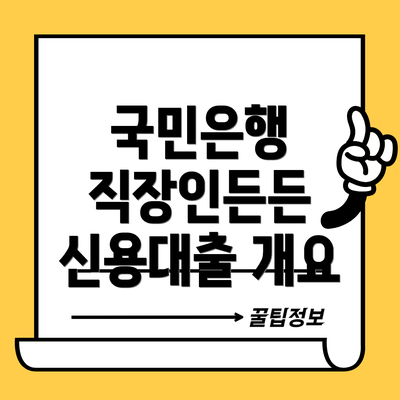 국민은행 직장인든든 신용대출 개요
