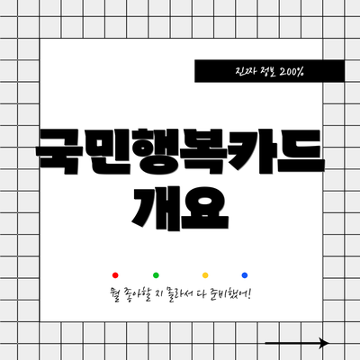 국민행복카드 개요