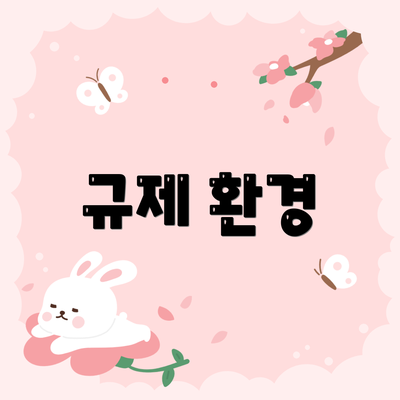 규제 환경