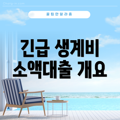 긴급 생계비 소액대출 개요