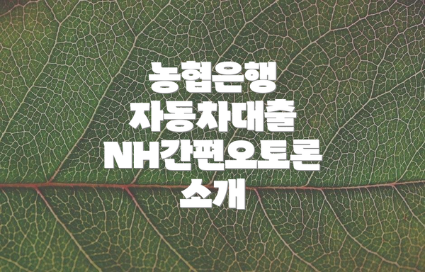 농협은행 자동차대출 NH간편오토론 소개