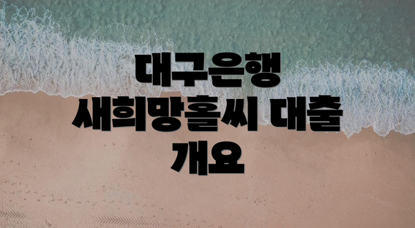 대구은행 새희망홀씨 대출 개요