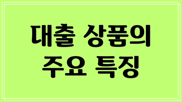 대출 상품의 주요 특징