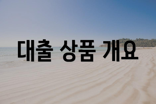 대출 상품 개요