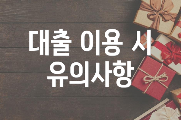 대출 이용 시 유의사항
