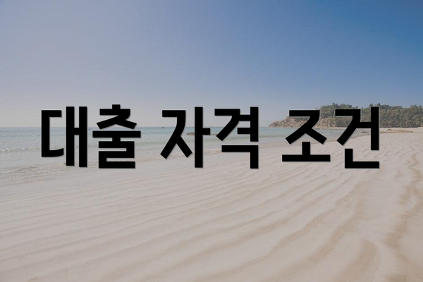 대출 자격 조건