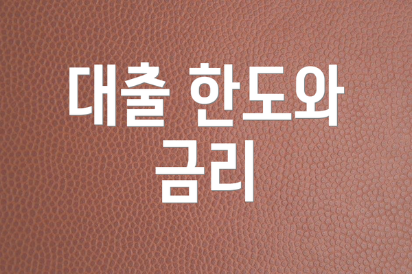 대출 한도와 금리