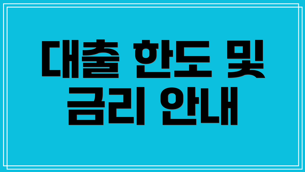 대출 한도 및 금리 안내