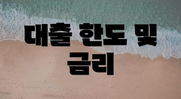 대출 한도 및 금리