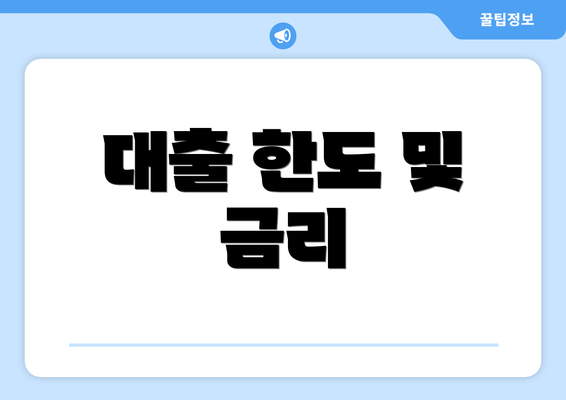 대출 한도 및 금리