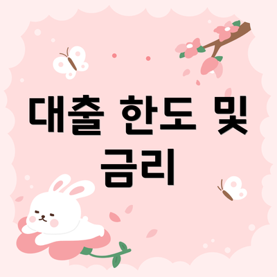 대출 한도 및 금리
