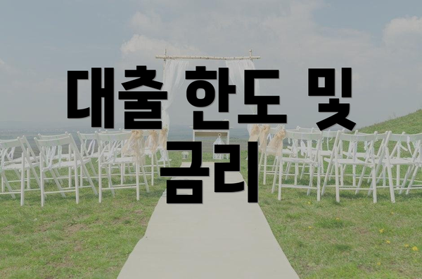 대출 한도 및 금리