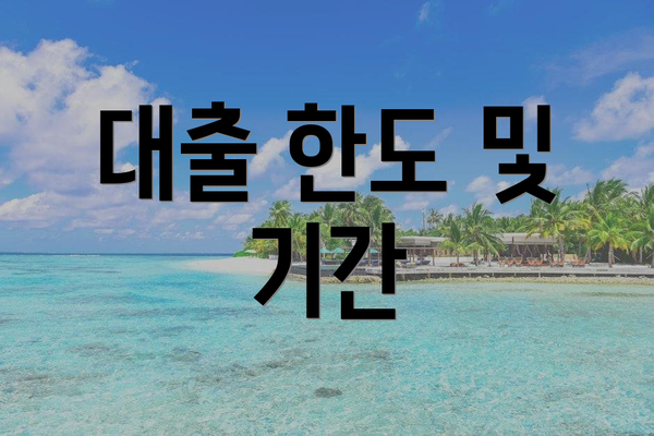 대출 한도 및 기간