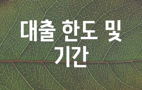 대출 한도 및 기간