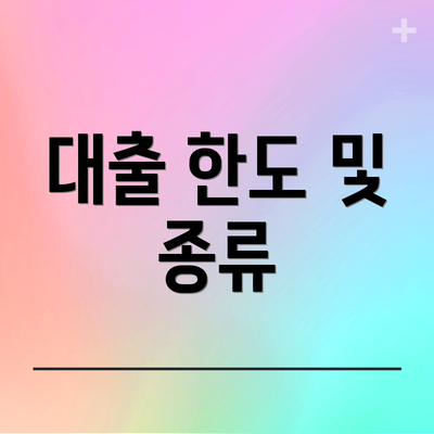 대출 한도 및 종류