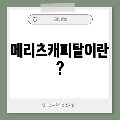 메리츠캐피탈이란?