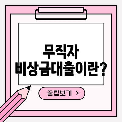 무직자 비상금대출이란?