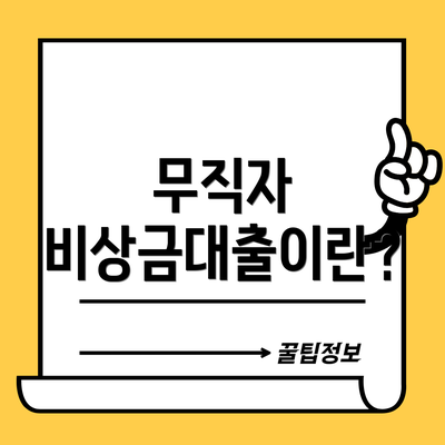 무직자 비상금대출이란?