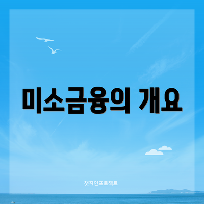 미소금융의 개요