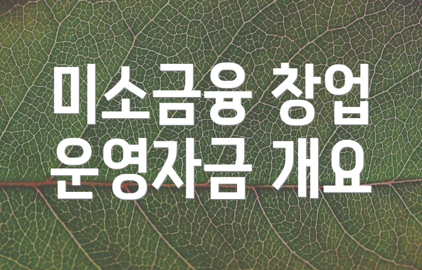 미소금융 창업 운영자금 개요