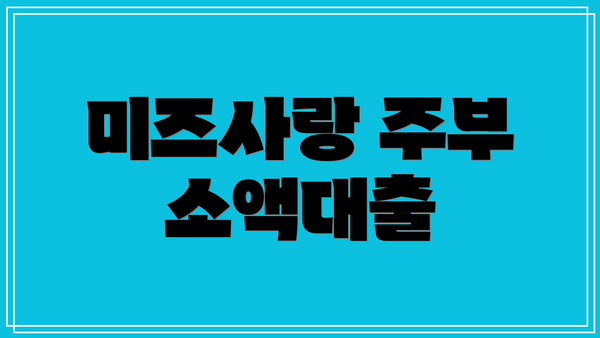 미즈사랑 주부 소액대출