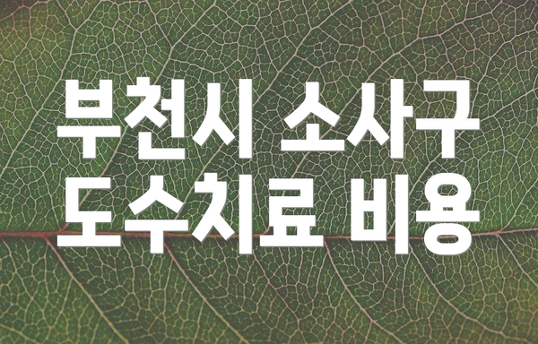 부천시 소사구 도수치료 비용