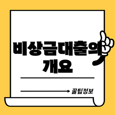 비상금대출의 개요