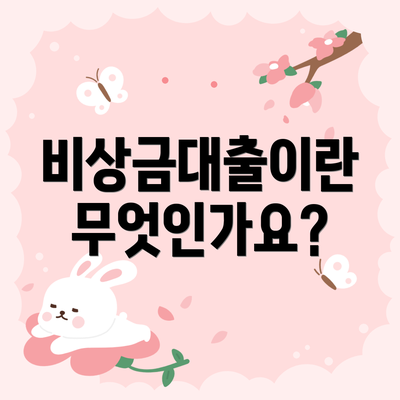 비상금대출이란 무엇인가요?
