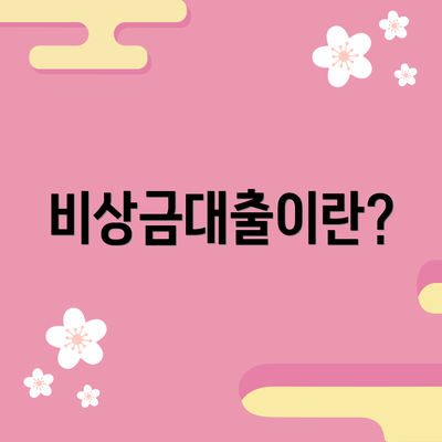 비상금대출이란?