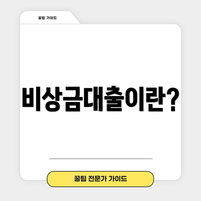 비상금대출이란?