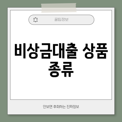 비상금대출 상품 종류
