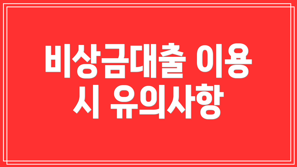 비상금대출 이용 시 유의사항