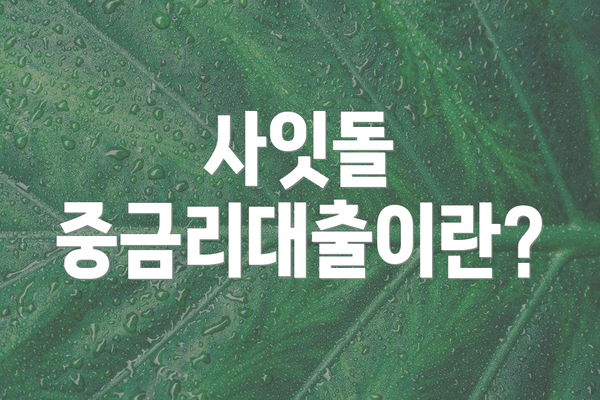 사잇돌 중금리대출이란?