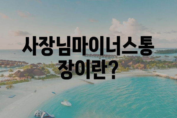 사장님마이너스통장이란?