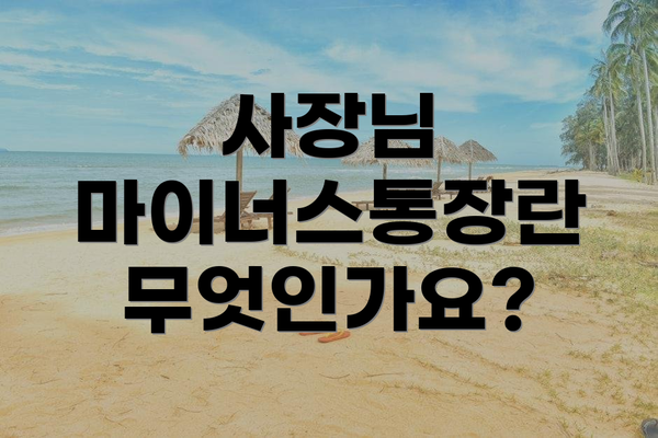 사장님 마이너스통장란 무엇인가요?