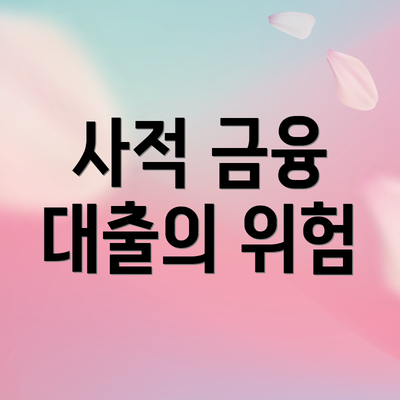사적 금융 대출의 위험