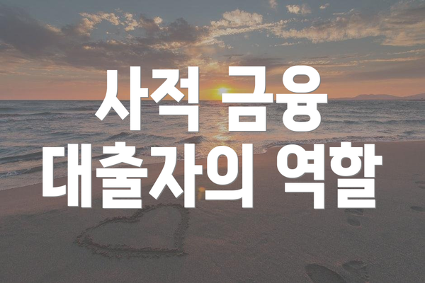 사적 금융 대출자의 역할