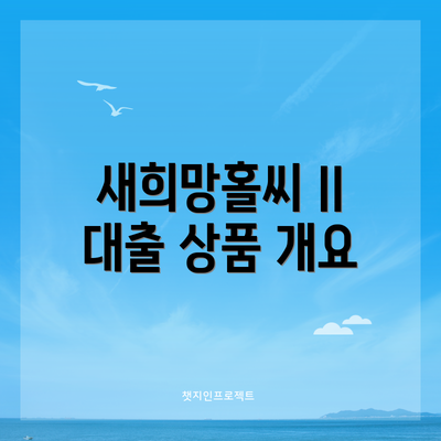 새희망홀씨 II 대출 상품 개요