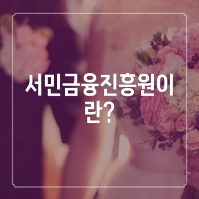 서민금융진흥원이란?
