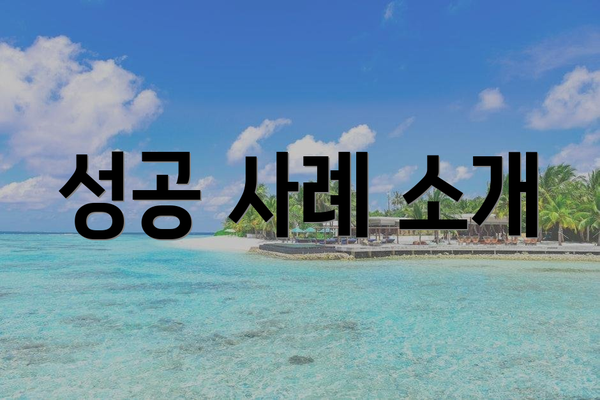 성공 사례 소개