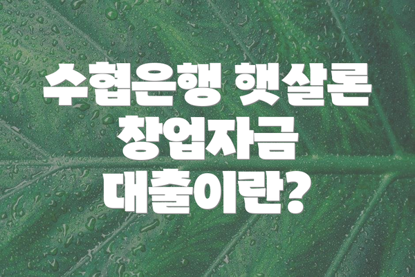 수협은행 햇살론 창업자금 대출이란?