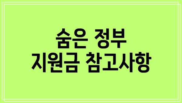숨은 정부 지원금 참고사항