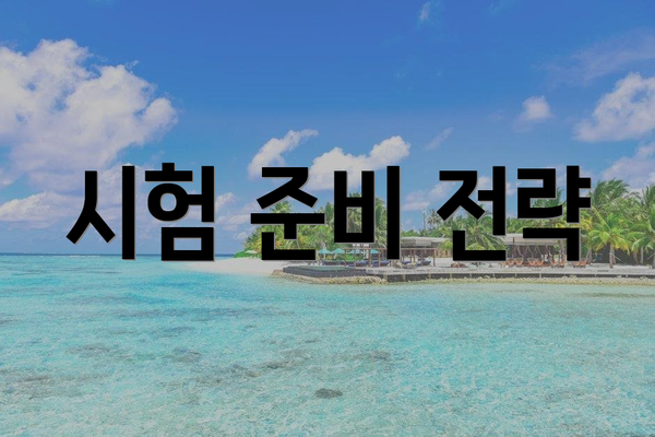 시험 준비 전략