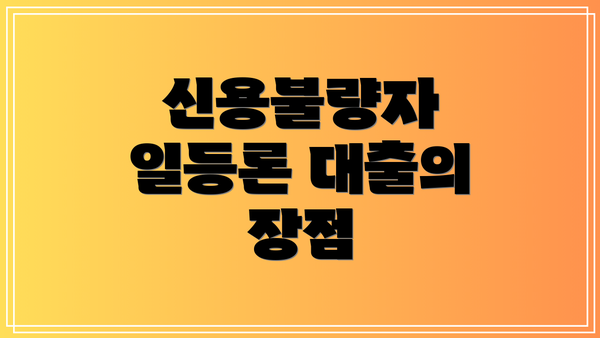 신용불량자 일등론 대출의 장점