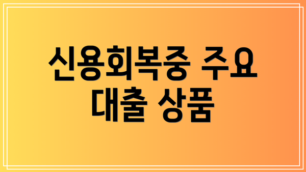 신용회복중 주요 대출 상품