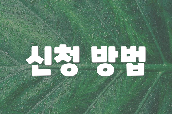 신청 방법