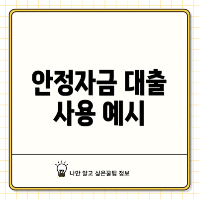 안정자금 대출 사용 예시