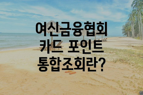여신금융협회 카드 포인트 통합조회란?